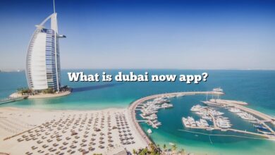What is dubai now app?