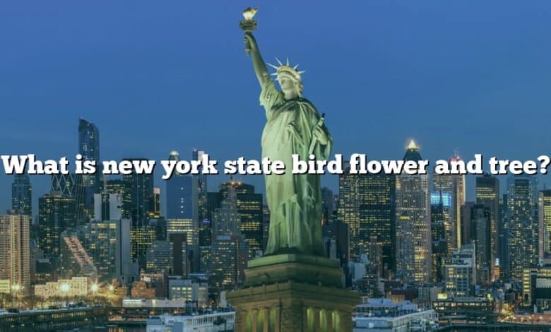 What is new york state bird flower and tree?