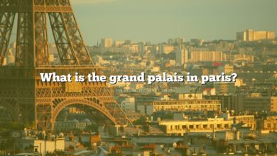What is the grand palais in paris?