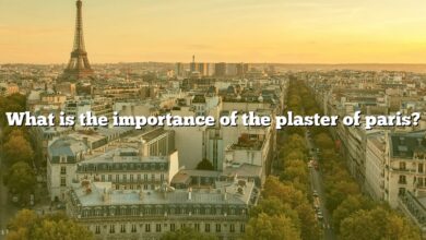 What is the importance of the plaster of paris?