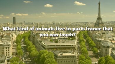 What kind of animals live in paris france that you can touch?
