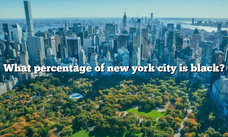 What percentage of new york city is black?