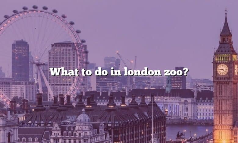 What to do in london zoo?