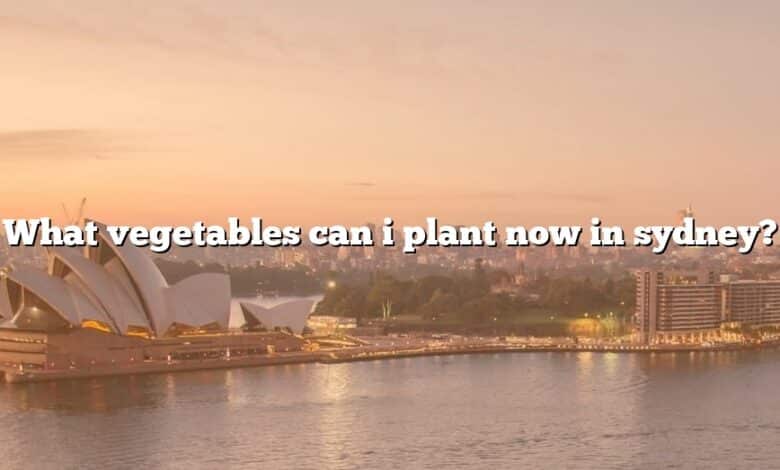 What vegetables can i plant now in sydney?