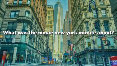 What was the movie new york minute about?