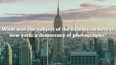 What was the subject of the exhibition here is new york: a democracy of photographs?