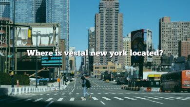 Where is vestal new york located?