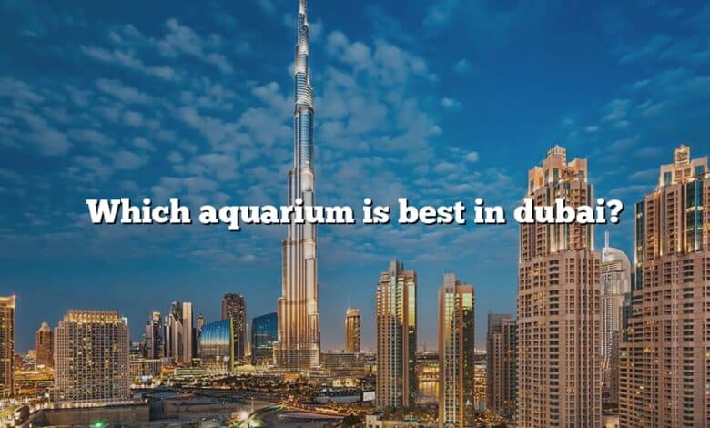 Which aquarium is best in dubai?