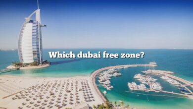 Which dubai free zone?