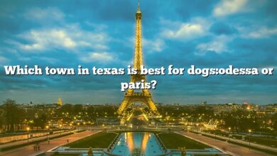 Which town in texas is best for dogs:odessa or paris?