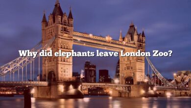 Why did elephants leave London Zoo?