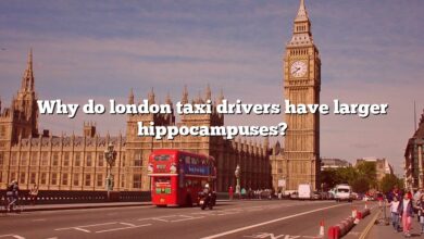 Why do london taxi drivers have larger hippocampuses?