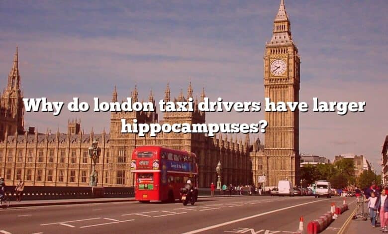 Why do london taxi drivers have larger hippocampuses?