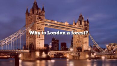 Why is London a forest?