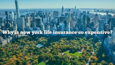 Why is new york life insurance so expensive?