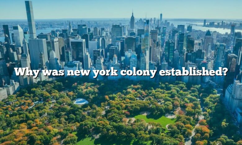 Why was new york colony established?