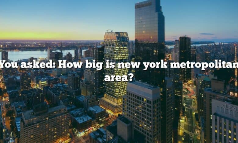 You asked: How big is new york metropolitan area?