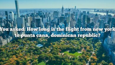 You asked: How long is the flight from new york to punta cana, dominican republic?