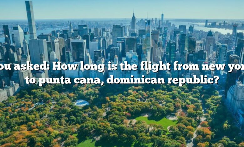 You asked: How long is the flight from new york to punta cana, dominican republic?
