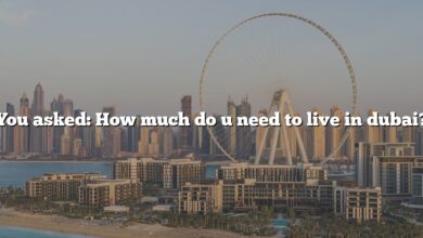 You asked: How much do u need to live in dubai?