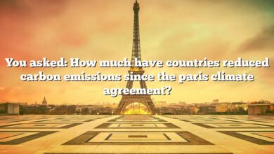 You asked: How much have countries reduced carbon emissions since the paris climate agreement?