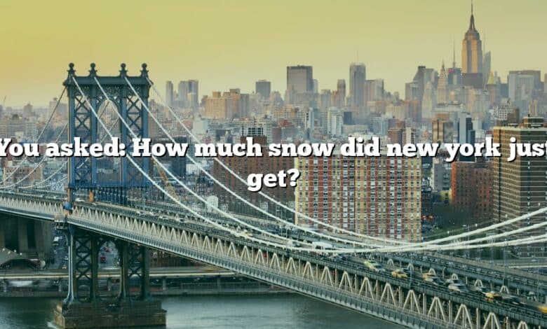 You asked: How much snow did new york just get?
