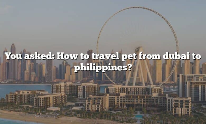 You asked: How to travel pet from dubai to philippines?
