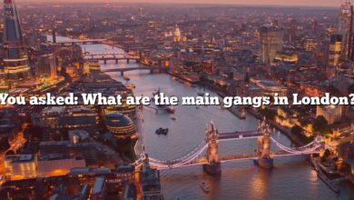 You asked: What are the main gangs in London?