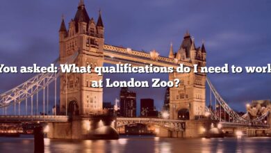 You asked: What qualifications do I need to work at London Zoo?
