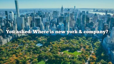 You asked: Where is new york & company?