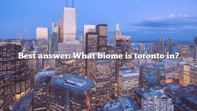 Best answer: What biome is toronto in?
