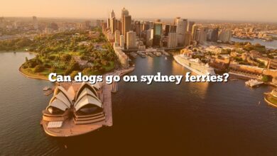 Can dogs go on sydney ferries?