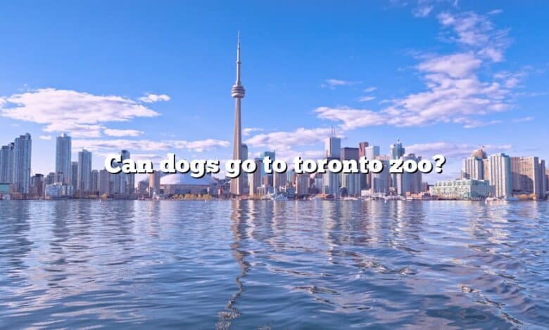 Can dogs go to toronto zoo?