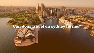 Can dogs travel on sydney ferries?