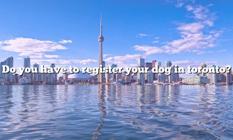 Do you have to register your dog in toronto?