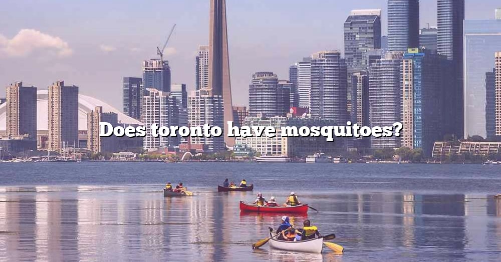 does-toronto-have-mosquitoes-the-right-answer-2022-travelizta