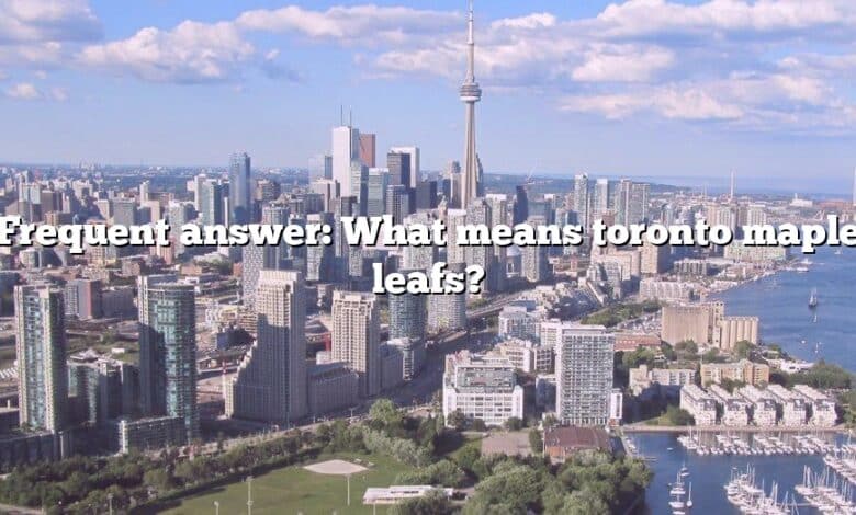Frequent answer: What means toronto maple leafs?