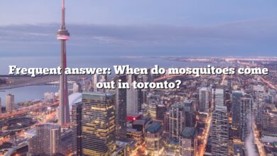 Frequent answer: When do mosquitoes come out in toronto?