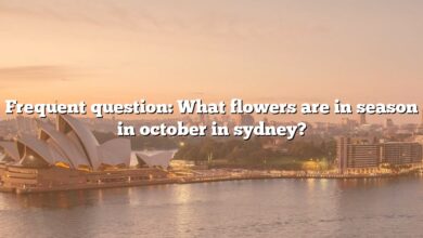 Frequent question: What flowers are in season in october in sydney?