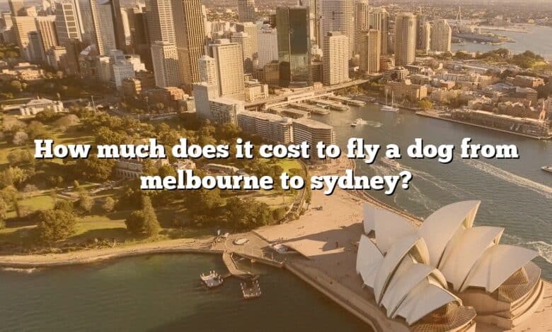 How much does it cost to fly a dog from melbourne to sydney?
