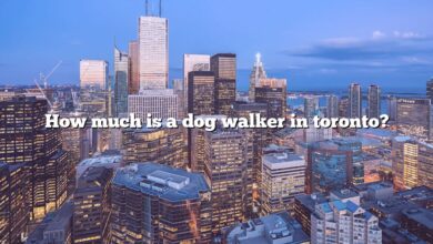 How much is a dog walker in toronto?