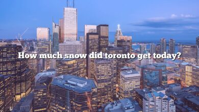 How much snow did toronto get today?