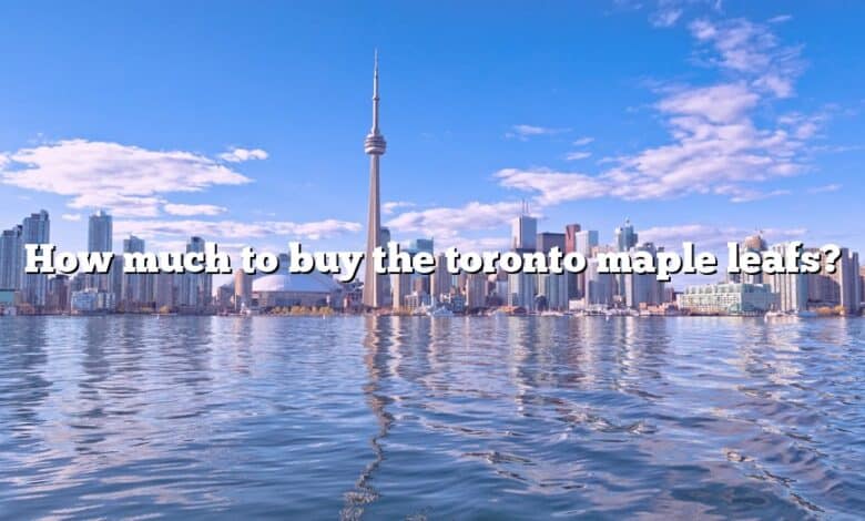 How much to buy the toronto maple leafs?