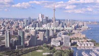 How much toronto bus?