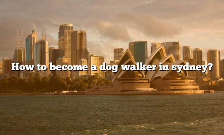How to become a dog walker in sydney?