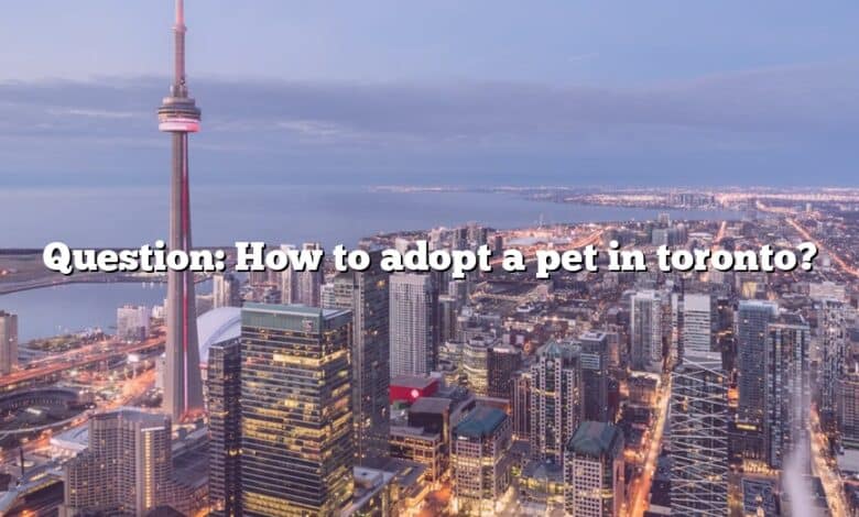 Question: How to adopt a pet in toronto?
