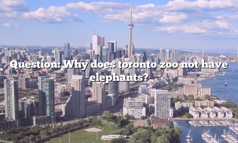 Question: Why does toronto zoo not have elephants?