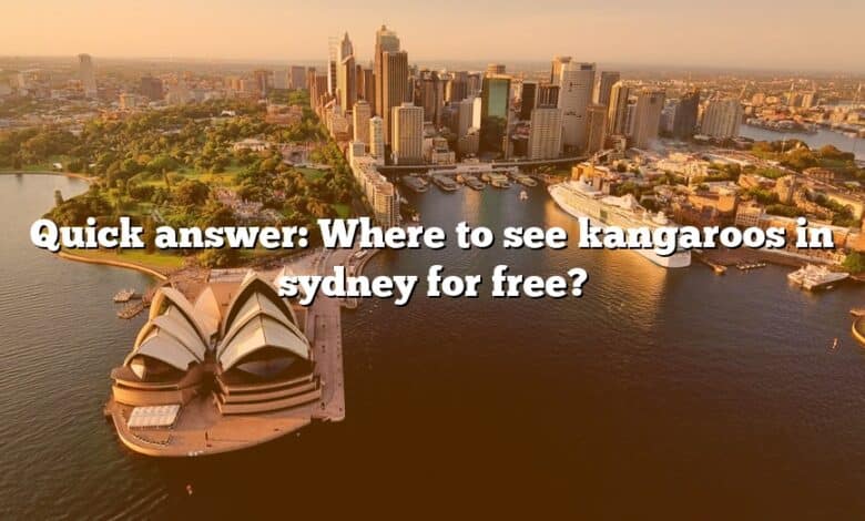 Quick answer: Where to see kangaroos in sydney for free?