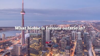What biome is toronto ontario in?
