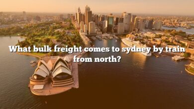 What bulk freight comes to sydney by train from north?